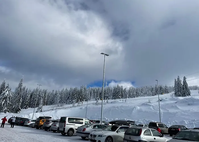 Pano Panorama * Kopaonik